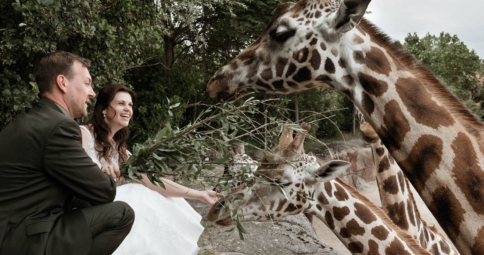 Trouwen in Gaia Zoo Kerkrade  - Marcha en Danny