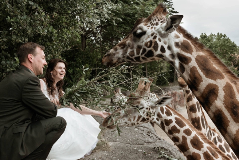 Trouwen in Gaia Zoo Kerkrade  - Marcha en Danny
