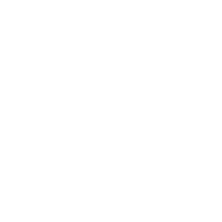 Jullie trouwfoto's