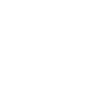 +31 (0) 613 77 0007